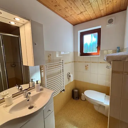 Apartment Votockovi *
