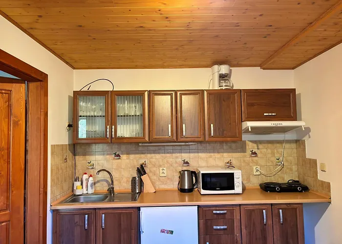 Votockovi Appartement *